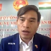 Ông Bùi Trung Thướng, Tham tán thương mại Đại sứ quán Việt Nam tại Ấn Độ phát biểu tại hội thảo. (Ảnh: Ngọc Thúy/TTXVN)