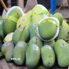 Xoài tượng da xanh xuất sang thị trường Hoa Kỳ. (Ảnh: Thanh Sang/TTXVN)