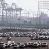Xe ôtô nhập khẩu chờ bốc dỡ tại cảng Long Beach, California, Mỹ. (Ảnh: AFP/TTXVN)