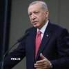 Tổng thống Thổ Nhĩ Kỳ Recep Tayyip Erdogan. (Ảnh: IRNA/TTXVN)