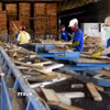 Nhà máy chế biến lâm sản và dăm gỗ nguyên liệu giấy. (Ảnh: Phước Ngọc/TTXVN)