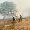 Lực lượng chức năng nỗ lực dập tắt đám cháy rừng tràm tại khu vực giáp ranh xã Nam Cửa Việt và Triệu Cơ ngày 26/6. (Ảnh minh họa: TXVN phát)
