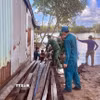 Cán bộ chiến sỹ Đồn Biên phòng Năm Căn (Cà Mau) hỗ trợ các hộ dân tại ấp Trại Lưới B, xã Đất Mới, di dời tài sản sau sạt lở. (Ảnh: TTXVN phát)