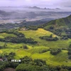Vẻ đẹp của những thửa ruộng bậc thang Miền Đồi (Phú Thọ) không thua kém gì so với những vùng đất vốn đã rất nổi tiếng về ruộng bậc thang như Lào Cai. (Ảnh: Trọng Đạt/TTXVN)