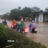Ngập úng sau mưa lớn ở phường Vĩnh Phúc, Phú Thọ. (Ảnh: Hoàng Hùng/TTXVN)