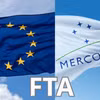 Uruguay tiến thêm một bước trong phê chuẩn FTA Mercosur-EFTA