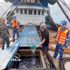 Lực lượng chức năng Bộ Tư lệnh Vùng Cảnh sát biển 4 kiểm tra hàng hóa trên tàu cá TG 92232 TS. (Ảnh: TTXVN phát)