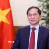 Phó Thủ tướng, Bộ trưởng Ngoại giao Bùi Thanh Sơn. (Ảnh: Phạm Kiên/TTXVN)