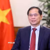 Phó Thủ tướng, Bộ trưởng Ngoại giao Bùi Thanh Sơn. (Ảnh: Phạm Kiên/TTXVN)