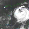 Bão số 11 có khả năng tiếp tục mạnh lên. (Nguồn: Trung tâm dự báo khí tượng thủy văn Quốc gia)