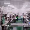 Công ty Cổ phần Chế biến hàng xuất khẩu Long An – LAFOOCO (thuộc Tập đoàn PAN) là doanh nghiệp nhà nước được cổ phần hóa đầu tiên của ngành điều cả nước. (Ảnh: Minh Hưng/TTXVN)
