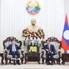 Thủ tướng Chính phủ Lào Sonexay Siphandone (phải) tiếp PGS.TS Đoàn Minh Huấn, Ủy viên Bộ Chính trị, Giám đốc Học viện Chính trị quốc gia Hồ Chí Minh đến chào xã giao. (Ảnh: Xuân Tú/TTXVN)