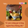 Vì sao gà cúng Giao thừa thường ngậm một bông hoa hồng đỏ?