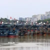 Tàu cá neo tại cảng để tránh bão tại tỉnh Quảng Đông, Trung Quốc. (Ảnh: THX/TTXVN)