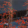 Hoa gạo nở đỏ rực tại chùa Tam Chúc, phường Tam Chúc, tỉnh Ninh Bình. (Ảnh: Hải Yến/TTXVN)