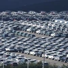 Xe ôtô xuất khẩu tại cảng Pyeongtaek, tỉnh Gyeonggi ngày 1/11. (Nguồn: Yonhap)