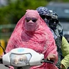Người dân tại Raipur, Ấn Độ, trùm kín tránh nắng nóng gay gắt do biến đổi khí hậu, ngày 15/4/2024. (Ảnh: AFP/TTXVN)