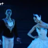 Mãn nhãn vở ballet kinh điển “Hồ Thiên Nga” của Nhà hát Nhạc Vũ Kịch Việt Nam