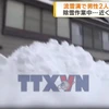 Nhật Bản: Tuyết rơi dày bất thường khiến hàng chục người thiệt mạng