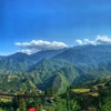 Cảnh sắc Sa Pa hớp hồn du khách Hàn Quốc. (Ảnh: Vietnam+)