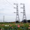 Công trình đường dây 500kV mạch 3 Quảng Trạch-Phố Nối là phong trào thi đua yêu nước, lao động sáng tạo, quyết liệt, thần tốc của toàn hệ thống chính trị, các bộ ngành, địa phương và công nhân ngành điện, nhằm giải quyết cấp bách tình trạng thiếu điện miền Bắc. (Ảnh: Huy Hùng/TTXVN)
