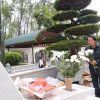 Phó Chủ tịch Trung ương Hội Cựu Thanh niên xung phong Việt Nam Thân Đức Nam thành kính dâng hoa tại Khu mộ 10 nữ anh hùng liệt sỹ thanh niên xung phong ở Ngã ba Đồng Lộc. (Ảnh: Hữu Quyết/TTXVN)