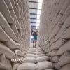 Công nhân bốc vác gạo trong nhà kho của Cơ quan lương thực quốc gia Philippines ở thành phố Valenzuela. (Ảnh: THX/TTXVN)