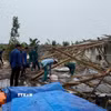 Đoàn thanh niên cùng lực lượng chức năng xã Đá Bạc giúp người dân khắc phục hậu quả dông lốc. (Ảnh: Tuấn Phi/TTXVN)