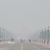 Tình trạng ô nhiễm không khí tại New Delhi, Ấn Độ. (Ảnh: ANI/TTXVN)