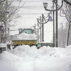 Tuyết rơi dày đặc tại Hokkaido, Nhật Bản. (Ảnh: Kyodo/TTXVN)