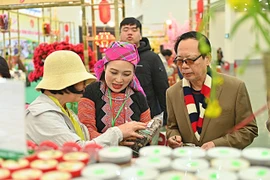 Hội chợ Mùa Xuân 2026: Không gian mua sắm Tết đa dạng