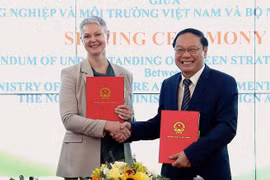 Quốc vụ khanh Na Uy Ragnhild Sjoner Syrstad: Đối tác chiến lược xanh sẽ mở ra “đòn bẩy kép” cho hợp tác kinh tế Việt Nam