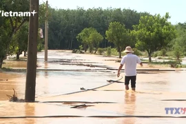 Đồng Nai thiệt hại nặng, nghi vấn nước lũ bất ngờ không phải do mưa lớn