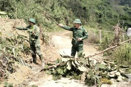 Lực lượng quân đội, công an tiếp cận hiện trường vụ sạt lở kinh hoàng xã biên giới Hùng Sơn-Đà Nẵng
