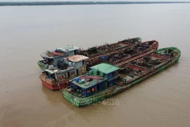 Đồng Tháp "nóng" về hoạt động vận chuyển cát lậu từ bờ biển vào nội địa