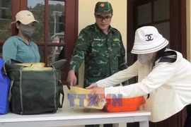 Biên phòng Lào Cai liên tiếp bắt 2 vụ đưa tôm hùm đất cấm vào Việt Nam