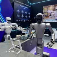 Robot hình người. (Ảnh minh họa. Công Tuyên/TTXVN)