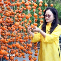 Hồng treo gió là 1 sản phẩm OCOP nổi tiếng của Đà Lạt được giới thiệu tại Chương trình. (Ảnh: Chu Quốc Hùng/TTXVN)