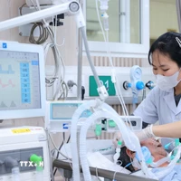 Từ những ngày cận Tết, bệnh viện Bạch Mai bước vào giai đoạn cao điểm với yêu cầu chủ động, sẵn sàng ứng phó. (Ảnh: Minh Quyết/TTXVN)