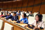 Quốc hội thông qua nhiều luật và nghị quyết quan trọng. (Ảnh: TTXVN)