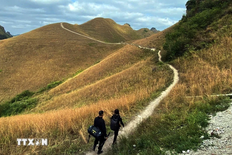 Những con đường mòn trên đồi cỏ gợi nhớ những ký ức xưa yên bình. (Ảnh: Quốc Đạt/TTXVN)
