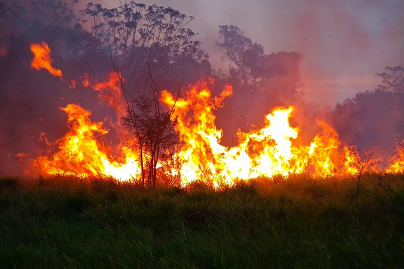 (Ảnh minh họa. AFP/TTXVN)