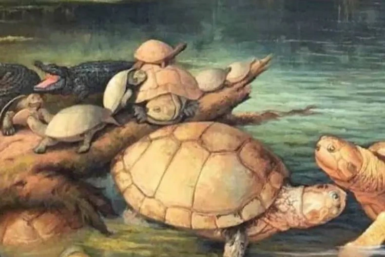 Ảnh minh họa. (Nguồn: Especial)