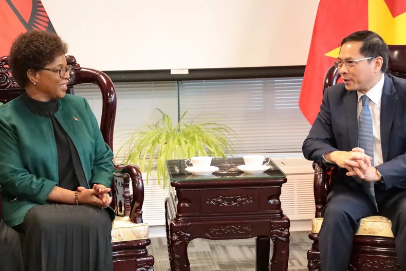 Phó Thủ tướng, Bộ trưởng Ngoại giao Bùi Thanh Sơn hội đàm với Bộ trưởng Ngoại giao Malawi Nancy Tempo trước lễ ký. (Ảnh: Thanh Tuấn/TTXVN)