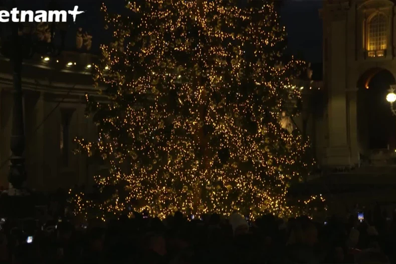 (Ảnh: VietnamPlus)