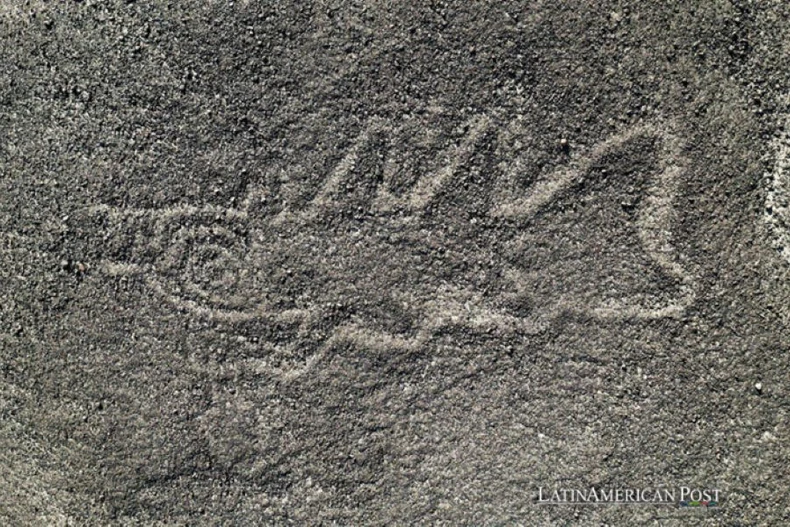 Nhờ công nghệ mới, số lượng hình vẽ trên mặt đất được phát hiện tăng gần gấp đôi. (Nguồn: Latin American Post)