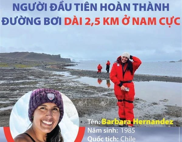 Hernandez - Người đầu tiên hoàn thành đường bơi 2,5km ở Nam Cực