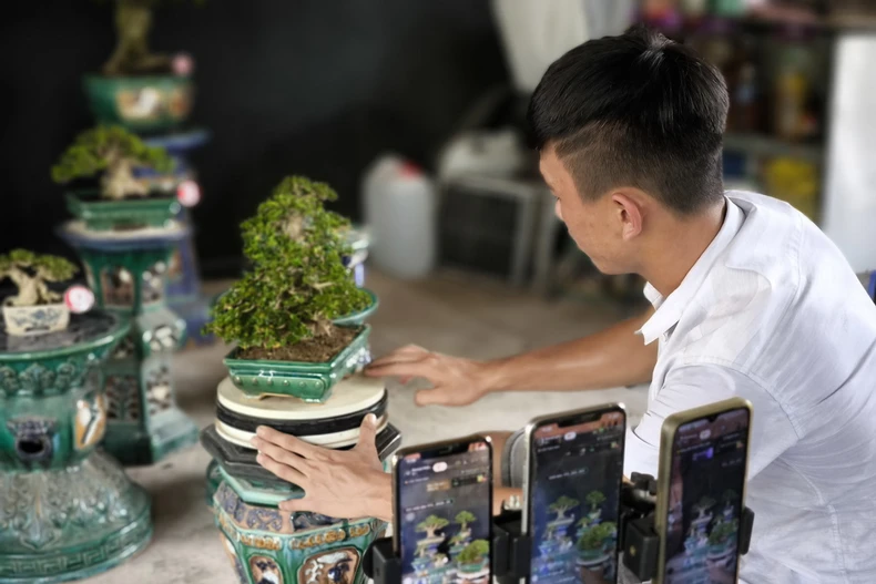 Em Lê Hoàng Tấn (19 tuổi, xã Hòa Nghĩa, huyện Chợ Lách) bán hàng trực tuyến. (Ảnh: Huỳnh Phúc Hậu/TTXVN)