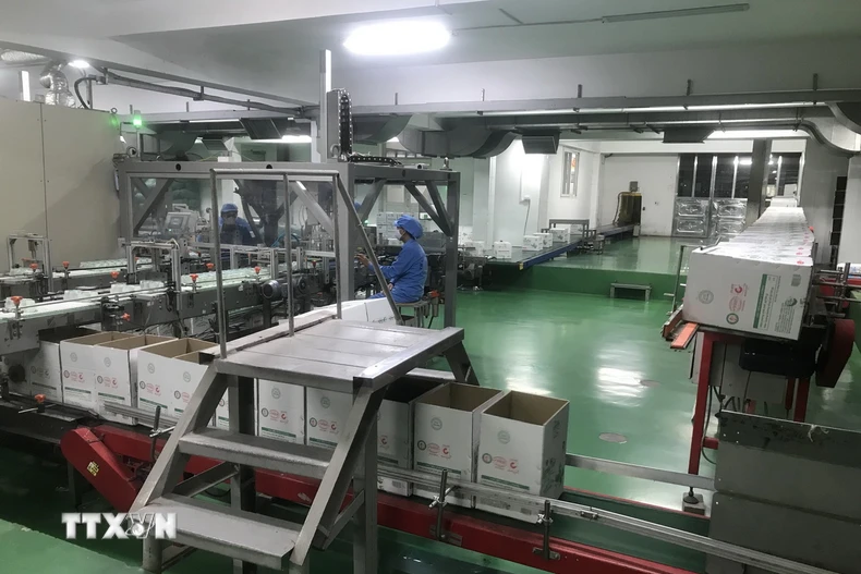 Ảnh minh họa. (Nguồn: TTXVN)