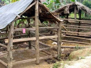 (Ảnh minh họa: Internet)